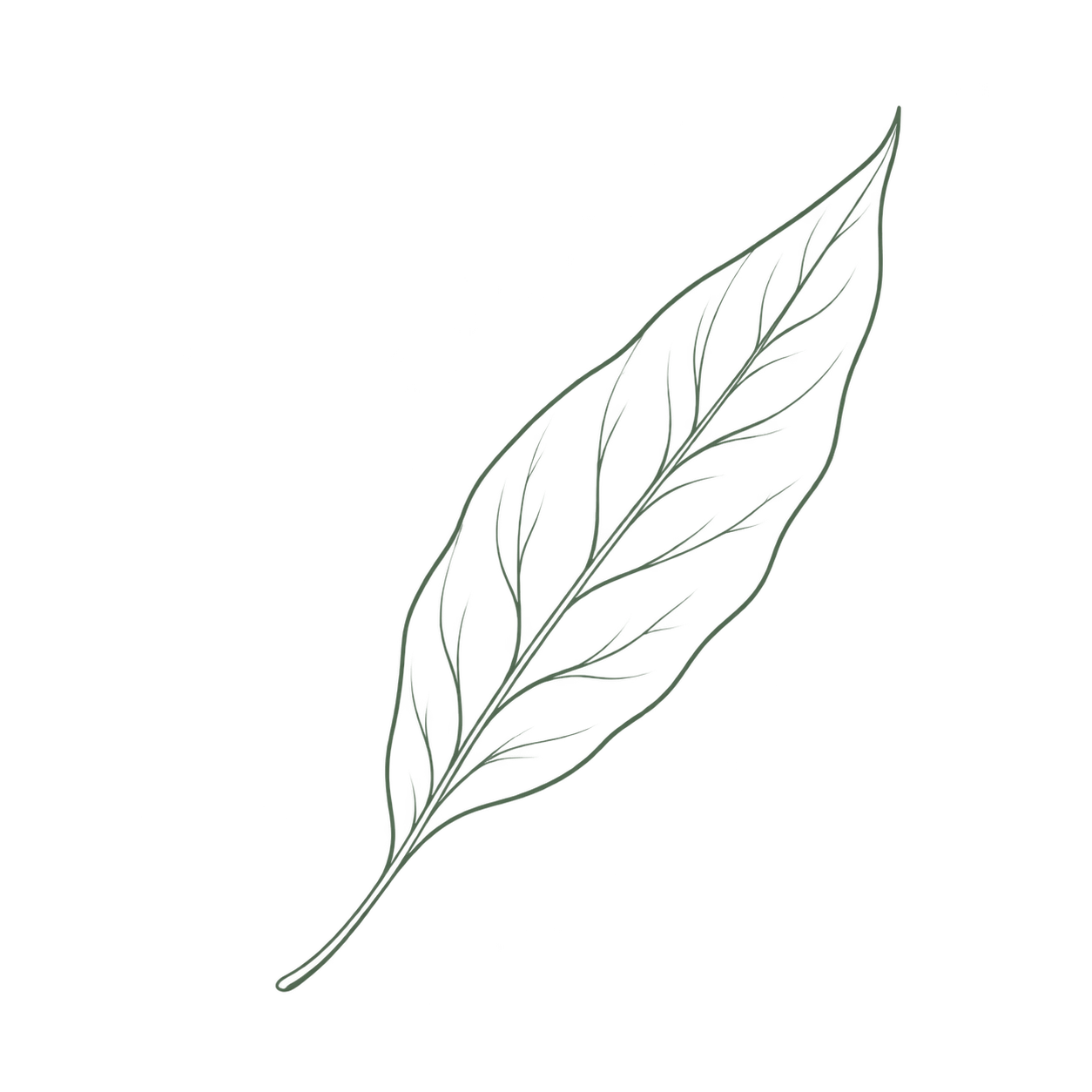 Naturalne składniki