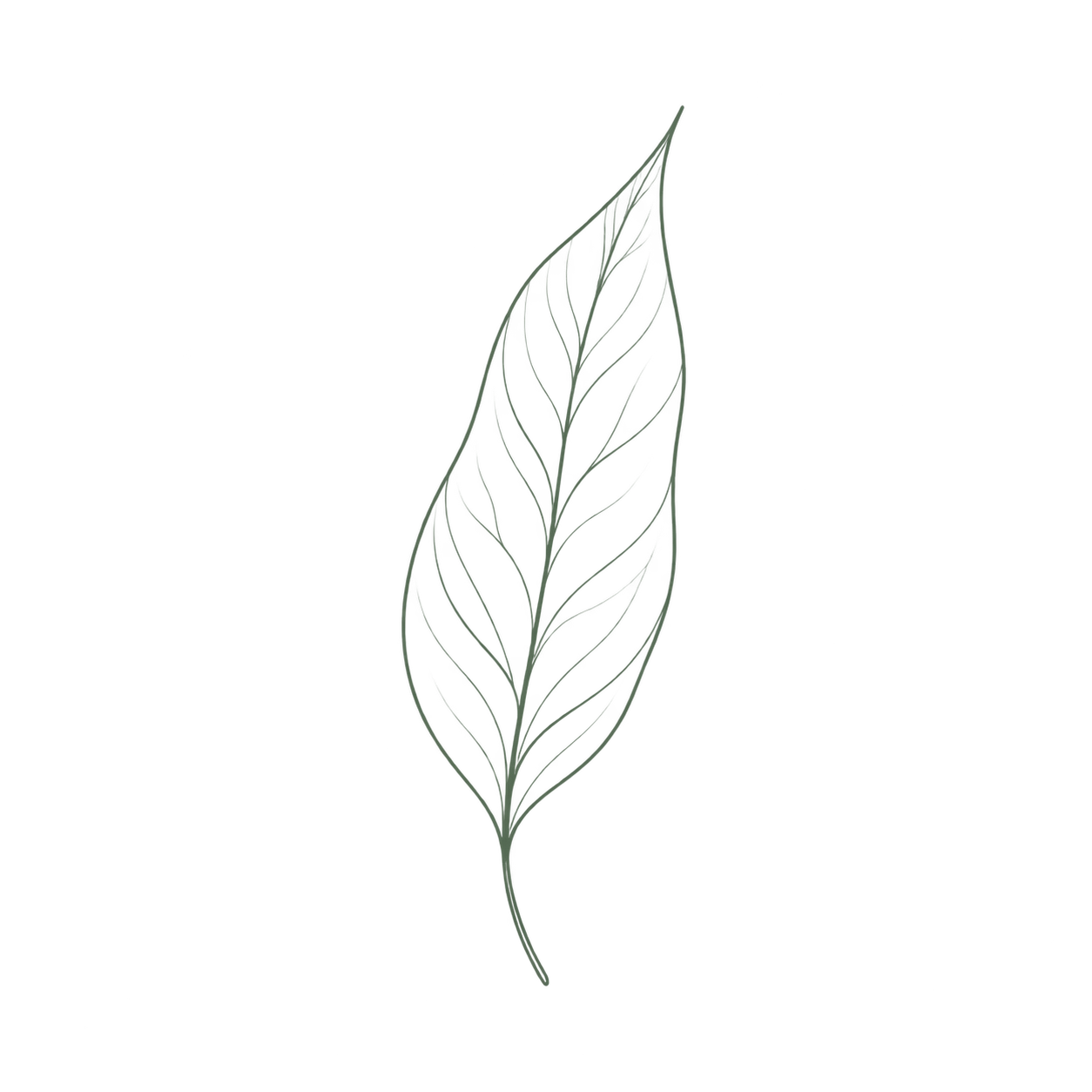Oryginalne produkty STYX